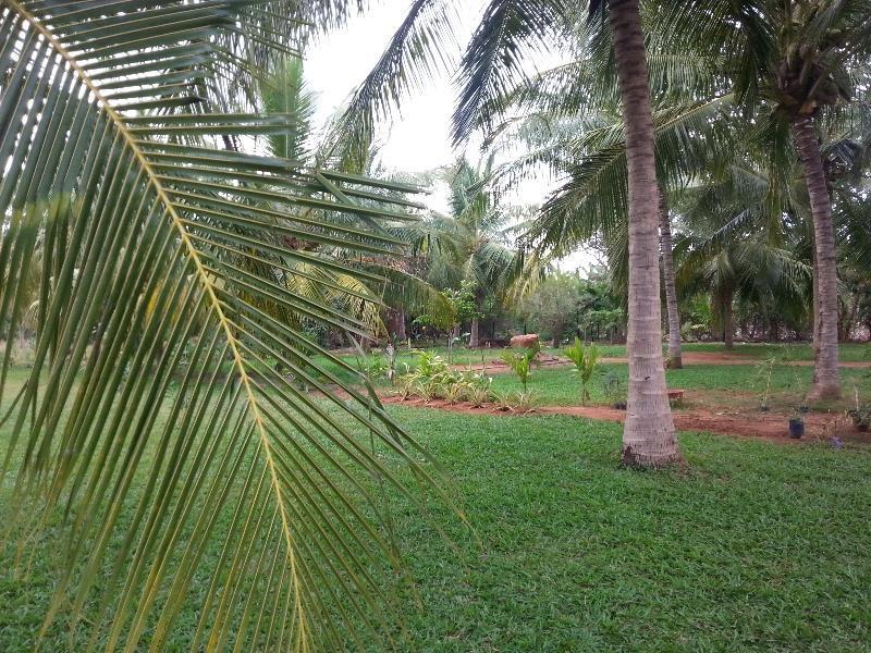 Serenity Lake Resort Yala Tissamaharama Esterno foto