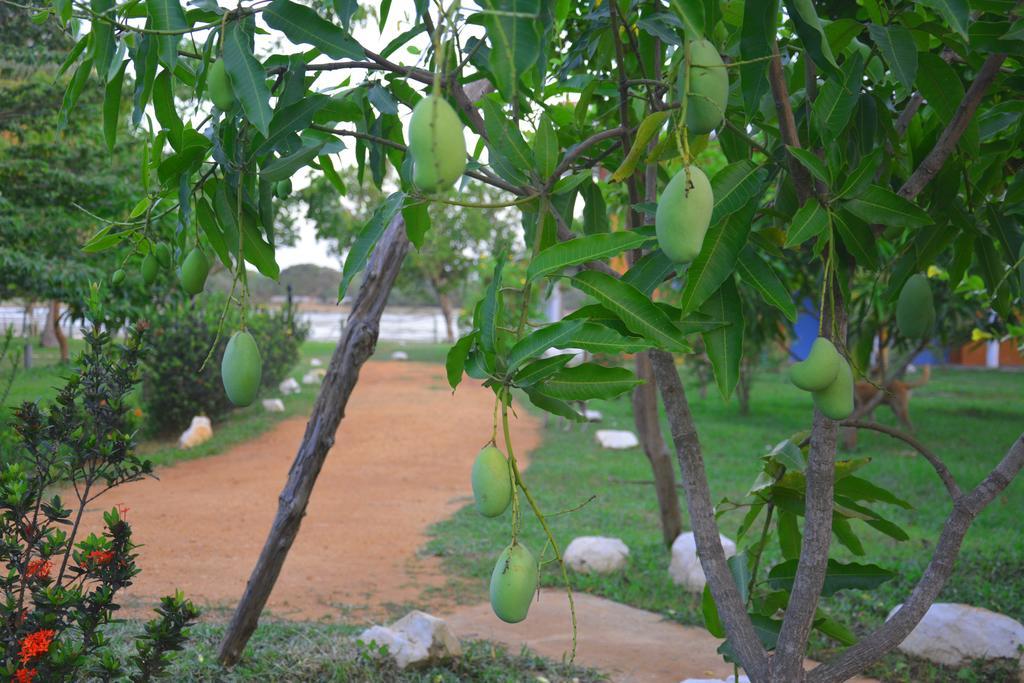 Serenity Lake Resort Yala Tissamaharama Esterno foto