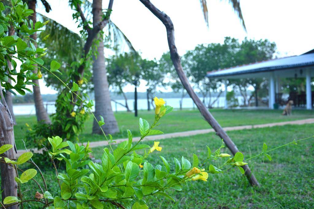 Serenity Lake Resort Yala Tissamaharama Esterno foto