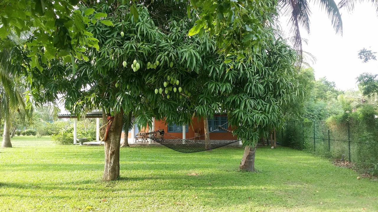 Serenity Lake Resort Yala Tissamaharama Esterno foto